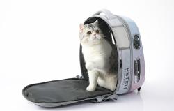 Petkit Cestovní batoh pro domácí mazlíčky Breezy 2.0 (růžový)