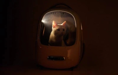 Petkit Cestovní batoh pro domácí mazlíčky Breezy 2.0 (růžový)