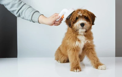 Petkit Kartáč na úpravu srsti pro psy a kočky Petkit