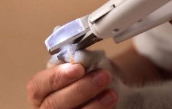 Petkit LED nůžky na nehty