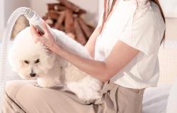 Petkit Sada pro péči o domácí mazlíčky AirClipper 5 v 1
