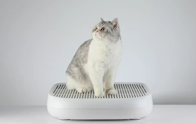 Petkit P9219 bílé schody pro kočkolity