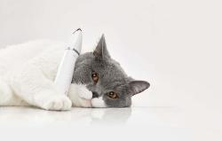 Petkit Zastřihovač zvířat 2v1 Petkit