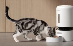 Petlibro Dávkovač krmiva Granary WiFi, 5 l (biely)