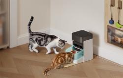 Petlibro Inteligentní dávkovač krmiva RFID s obojkem, 3 l