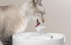 Petlibro Napájačka Dockstream s bezdrôtovým čerpadlom, 2,5 l