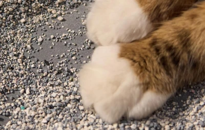 Petlibro Luma černá podložka pod kočičí záchod