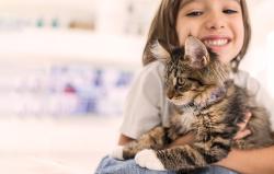 Petoneer Chytrý odstraňovač zápachu Petoneer