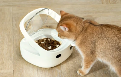 Petoneer Inteligentní dávkovač krmiva NutriCare