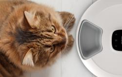 Petoneer Inteligentní dávkovač krmiva NutriSpin