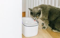 Petoneer Vodní fontána pro domácí zvířata Fresco mini plus