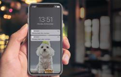 Petoneer Vodní fontána pro domácí zvířata Fresco Ultra