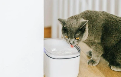 Petoneer Výměnné filtry pro fontánku Smart Pet Fountain mini (2 kusy)