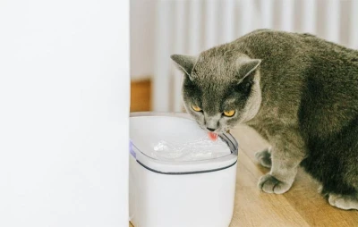 Petoneer Výměnné filtry pro fontánku Smart Pet Fountain mini (2 kusy) (VÝPRODEJ)