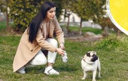 Petsuper Automatické zatahovací vodítko pro psy 5 m (bílé)