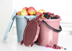 Plast Team Nádoba na ovoce BERRY 10l + víko PH mix barev