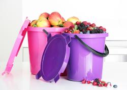 Plast Team Nádoba na ovoce BERRY 5l + víko PH mix barev