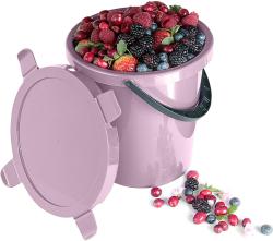 Plast Team Nádoba na ovoce BERRY 5l + víko PH mix barev