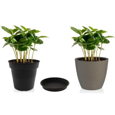 Plastkon Camelie antracitová 20 cm miska pod květináč