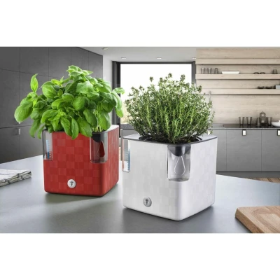Plastkon Cobble samozavlažovací květináč bílá