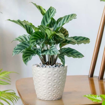 Plastkon Crystal Mat šedý dekorativní květináč