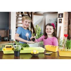Plastkon Minigarden 60 Spring Mix truhlík