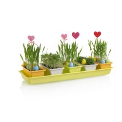 Plastkon Minigarden 60 Spring Mix truhlík