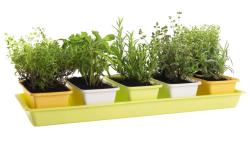Plastkon Minigarden 60 Spring Mix truhlík