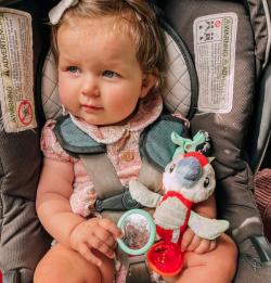 PLAYGRO PLYŠ Papoušek baby závěsný chrastící s klipem pro miminko