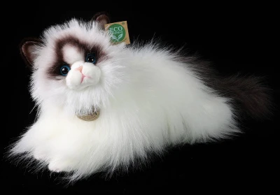 PLYŠ Kočka ragdoll 35cm ležící Eco-Friendly (plyšová hračka) PLYŠ Kočka ragdoll 35cm ležící Eco-Friendly (plyšová hračka)