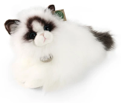 PLYŠ Kočka ragdoll 35cm ležící Eco-Friendly (plyšová hračka)