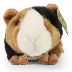 PLYŠ Morče 22cm Eco-Friendly (plyšová hračka)