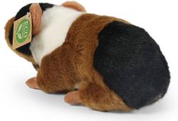 PLYŠ Morče 22cm Eco-Friendly (plyšová hračka)