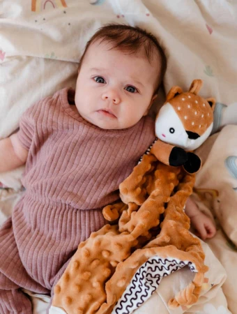 PLYŠ Muchláček Srnec baby usínáček chrastítko kousátko pro miminko