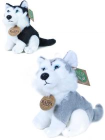 PLYŠ Pes husky 16cm Eco-Friendly 2 barvy (plyšová hračka)