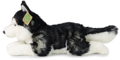 PLYŠ Pes husky 36cm ležící Eco-Friendly (plyšová hračka)