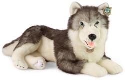 PLYŠ Pes Husky 60cm ležící Eco-Friendly (plyšová hračka)