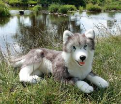 PLYŠ Pes Husky 60cm ležící Eco-Friendly (plyšová hračka)