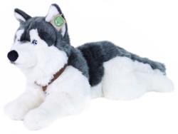PLYŠ Pes husky s obojkem 60cm ležící Eco-Friendly (plyšová hračka) PLYŠ Pes husky s obojkem 60cm ležící Eco-Friendly (plyšová hračka)