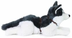 PLYŠ Pes husky s obojkem 60cm ležící Eco-Friendly (plyšová hračka)