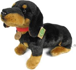 PLYŠ Pes jezevčík sedící s obojkem 30cm Eco-Friendly (plyšová hračka) PLYŠ Pes jezevčík sedící s obojkem 30cm Eco-Friendly (plyšová hračka)