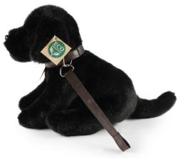 PLYŠ Pes labrador černý 25cm s vodítkem Eco-Friendly (plyšová hračka)