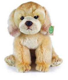 PLYŠ Pes labrador sedící 27cm labradorský retrívr Eco-Friendly (plyšová hračka)