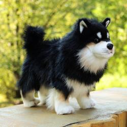 PLYŠ Pes lapinkoira 33cm Eco-Friendly (plyšová hračka)