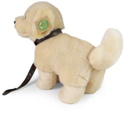 PLYŠ Pes zlatý retrívr 25cm štěně Eco-Friendly PLYŠOVÉ HRAČKY
