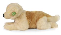 PLYŠ Pes zlatý retrívr 39cm štěně Eco-Friendly (plyšová hračka)