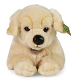 PLYŠ Pes zlatý retrívr 39cm štěně Eco-Friendly (plyšová hračka)