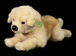 PLYŠ Pes zlatý retrívr 39cm štěně Eco-Friendly (plyšová hračka)