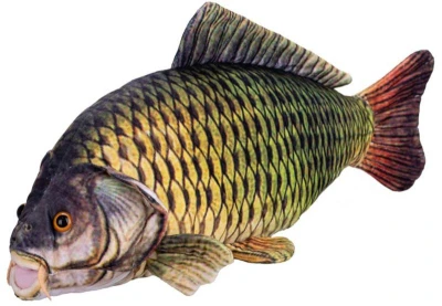 PLYŠ Ryba Kapr 52cm (plyšová hračka)