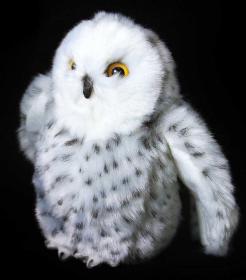 PLYŠ Sova bílá polární 18cm Eco-Friendly (plyšová hračka)